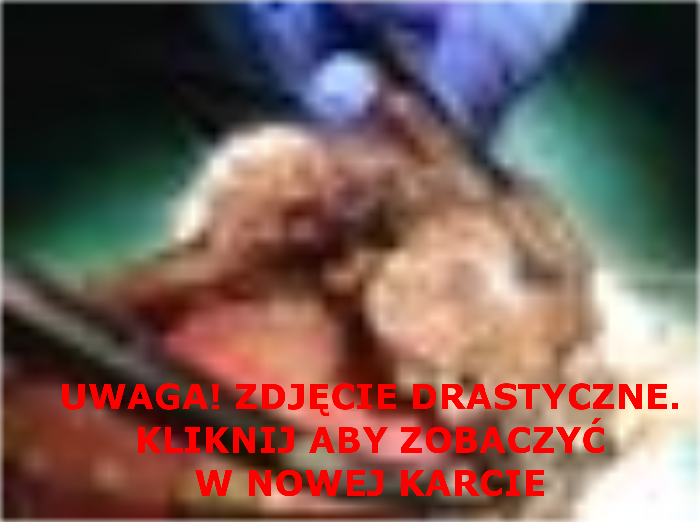 Biały chce żyć - pomóż mu!Biały chce żyć - pomóż mu! 	 