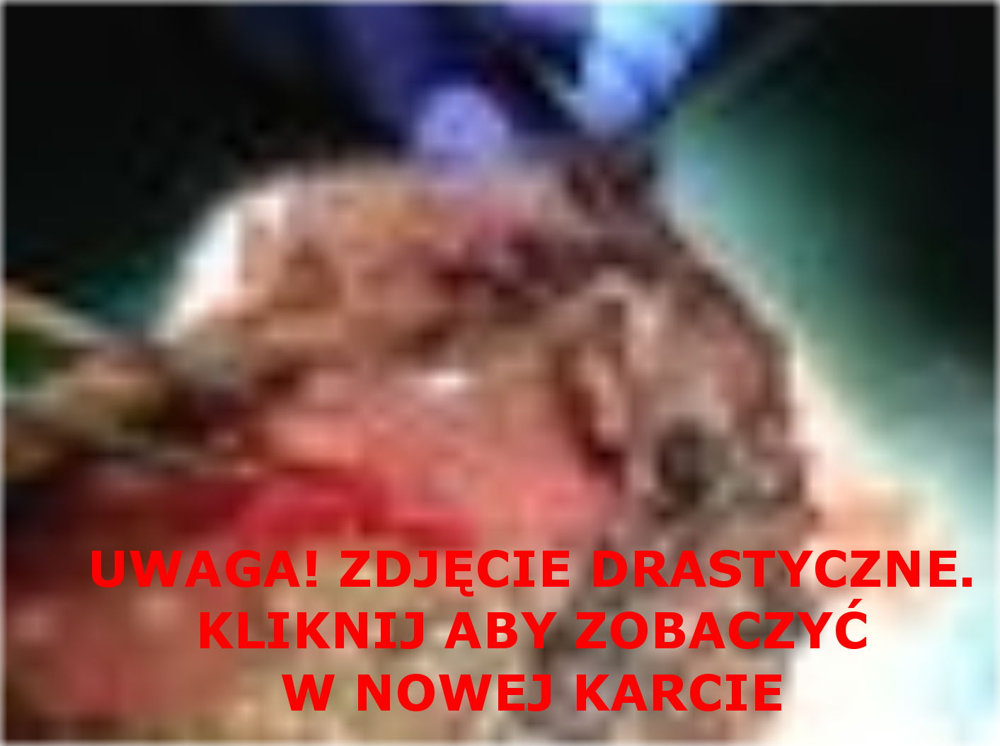 Biały chce żyć - pomóż mu!Biały chce żyć - pomóż mu! 	 
