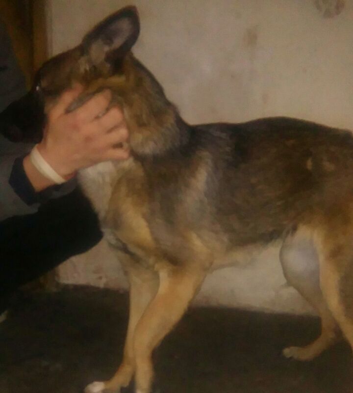 Sunia Fanta