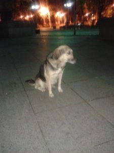 Gruzja_1.jpg